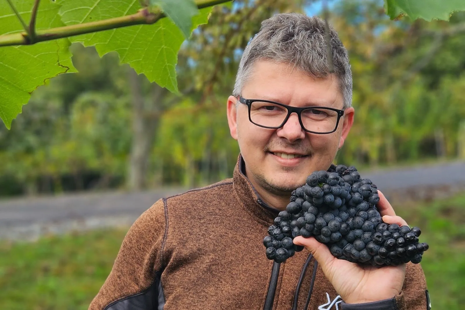 Seloucký Vinařství